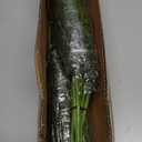 YXZZWL 16 Pcs Christmas Norfolk Pine Branches, 18 Inch Real Touch Artificial Norfolk Pine Branch Faux Cedar Pine Stem Fake Greenery Picks for Vase DIY Garland Wreath Home Decoration