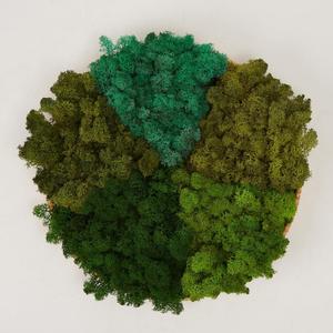Preserved Reindeer Moss Natural Green DIY Kit Gardenning Art Wall Decor Florist Decor Easter Table Decor Wedding (1 lb, Color Mix-Green-(03+04+06+10+11))