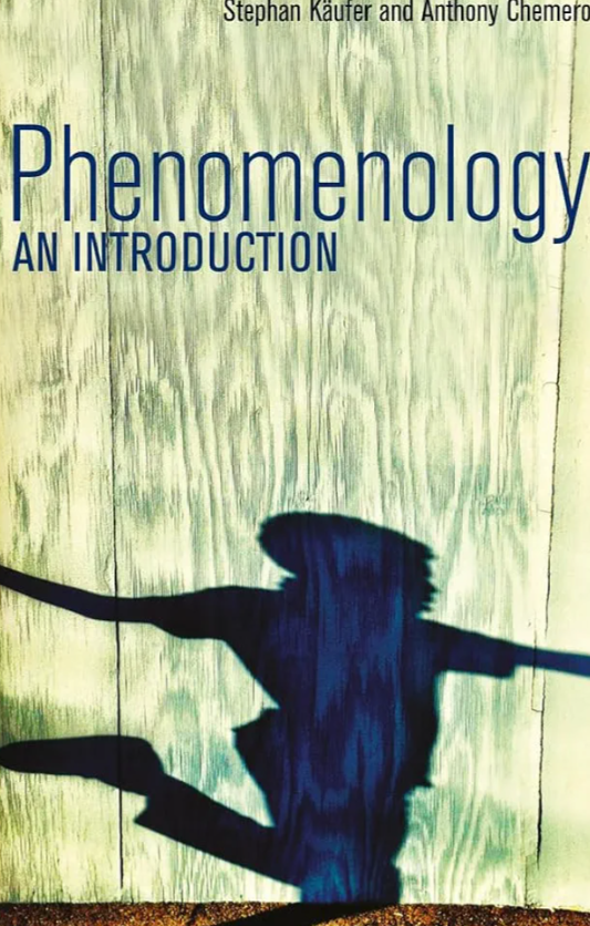 Phenomenology: An Introduction