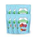 Lovely Candy Co. Organic Lollipops, 16oz Bag (6-Pack) | Vegan, Gluten-Free, Non-GMO, NO Artificial Colors or Flavors | Mango, Strawberry, Grape & Pomegranate Flavored Candy, EXP FEB/28/2026