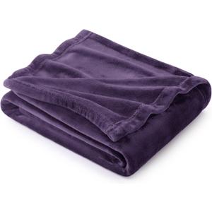 Bedsure GentleSoft Fleece Blanket Twin Size Purple - 300GSM Lightweight Plush Fuzzy Cozy Soft Warm Blanket for Bed, Sofa, Couch, Travel, Camping, 60x80 inches
