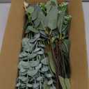 Eucalyptus Stems Bulk 60 Pcs, 4 Kinds Mixed Artificial Silver Dollar Eucalyptus Leaves Bundle Faux Greenery Branches for Wedding Vase Bouquet Floral Arrangement Centerpiece Home Decor