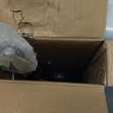 Universal Training Wheel Compatible with honda XR50 Z50 yamaha PW50, Easy to Install, Quality Materials