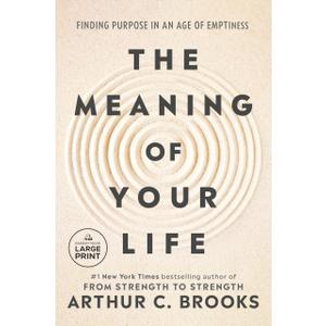 The Meaning of Your Life: Finding Purpose in an Age of Emptiness - Paperback