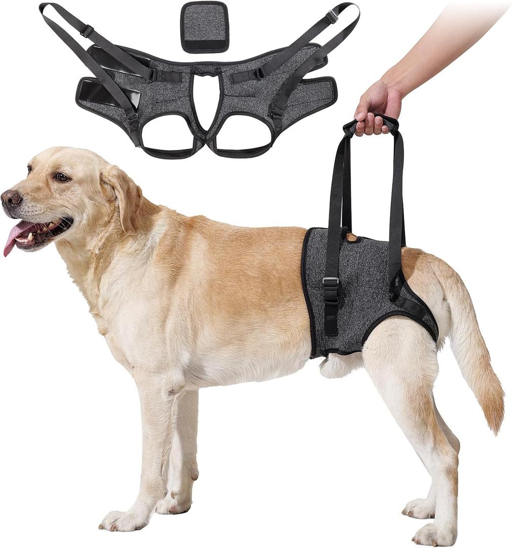 HEYWEAN Dog Sling for Large Dogs Hind Leg Support Harness Ideal for Elderly Injured Arthritic Dogs Provides Rehabilitation Aid for Weak Back Legs Comfortable and Durable Design (Grey)