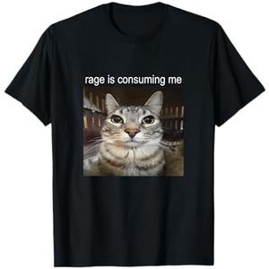 Rage is Consuming Me Silly Staring Cat Meme T-Shirt, S