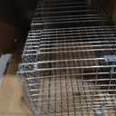 VEVOR Live Animal Cage Trap, 31" x 10" x 12" Humane Cat Trap Galvanized Iron, Folding Animal Trap with Handle for Rabbits, Stray Cats, Squirrels, Raccoons, Groundhogs and Opossums