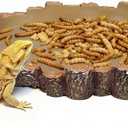 X-Large Bearded Dragon Water Dish Food Bowl, Reptile Food Dish, 9.5"x7.7"x1.4"