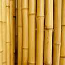 FOREVER BAMBOO Natural Bamboo Fencing Decorative Rolled Fence Panel 1 in D x 2 ft H x 8 ft L