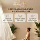 20 inch Fandelier Boho Caged Ceiling Fans with Lights Flush Mount, 20 inches x 20 inches x 9.3 inches
