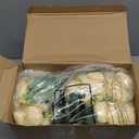 Geosar 16 Bundles Artificial Peonies Flowers Fake Silk Peony Bouquet Faux Peonies Flowers Bulk for Decoration Vase Floral Arrangements Wedding Party Table (Yellow,Champagne)