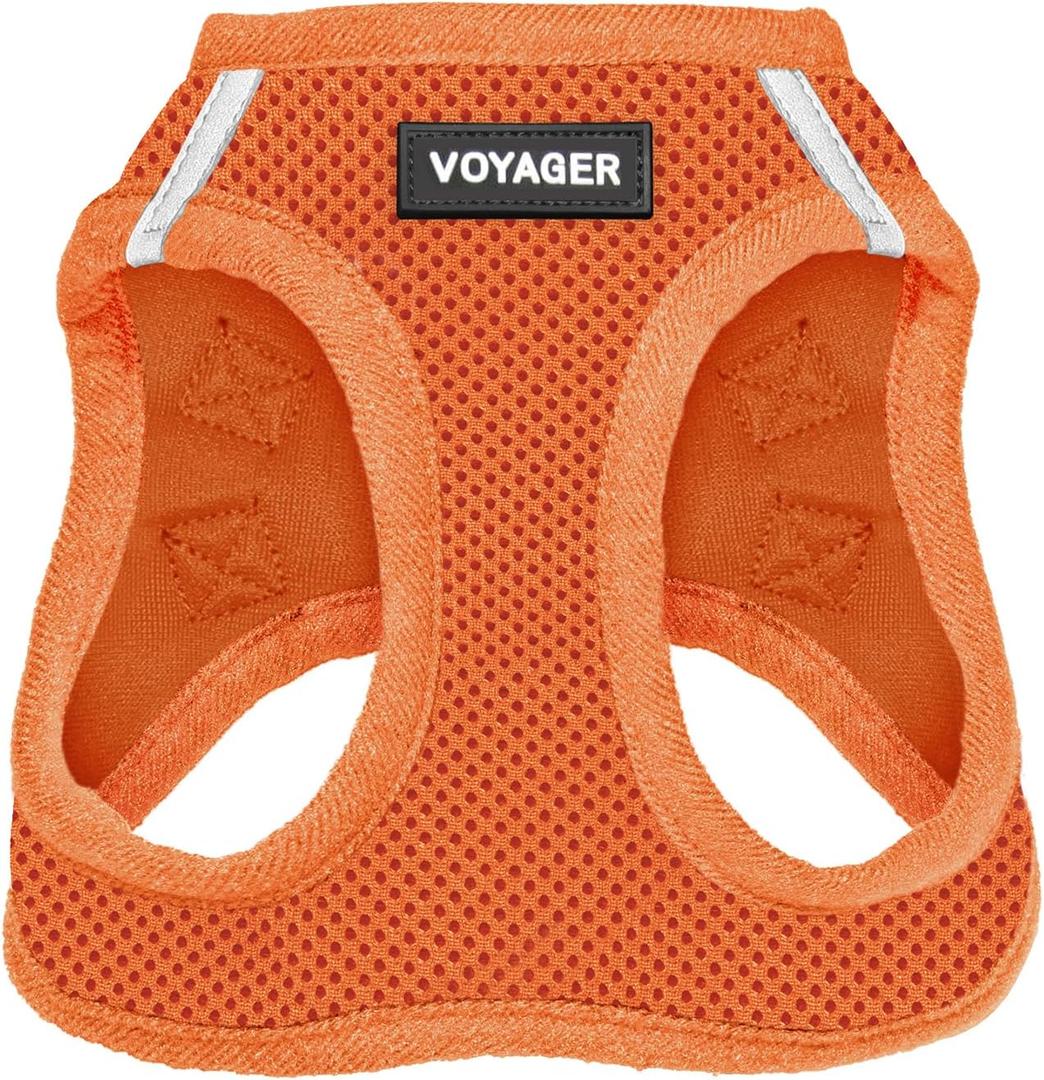 Best Pet Supplies Voyager Step-in Air Harness - All Weather Mesh, Reflective, No Pull Harness for Dogs, Cats - Secure with Hook & Loop Fastener, Buckle, Double D-Rings - Orange, XXS (Chest: 12 - 13.5")