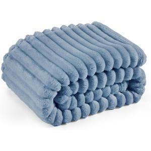 Bedsure GentleSoft Blue Twin XL Blanket for Bed - Cozy Soft Blankets for Women, Cute Small Fleece Throws for Girls, Birthday Gifts for Women Decor Gifts, Ashley Blue, 66x90 Inches