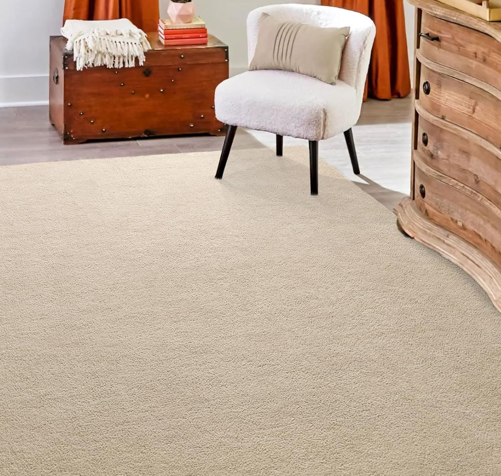 Hutha Area Rug for Bedroom Living Room, 4x6 Beige Solid Fluffy Super Soft Furry Bedside Carpets, Modern Indoor Floor Rug Aesthetic Minimalist Rug for Kids Girls Boys Home Decor