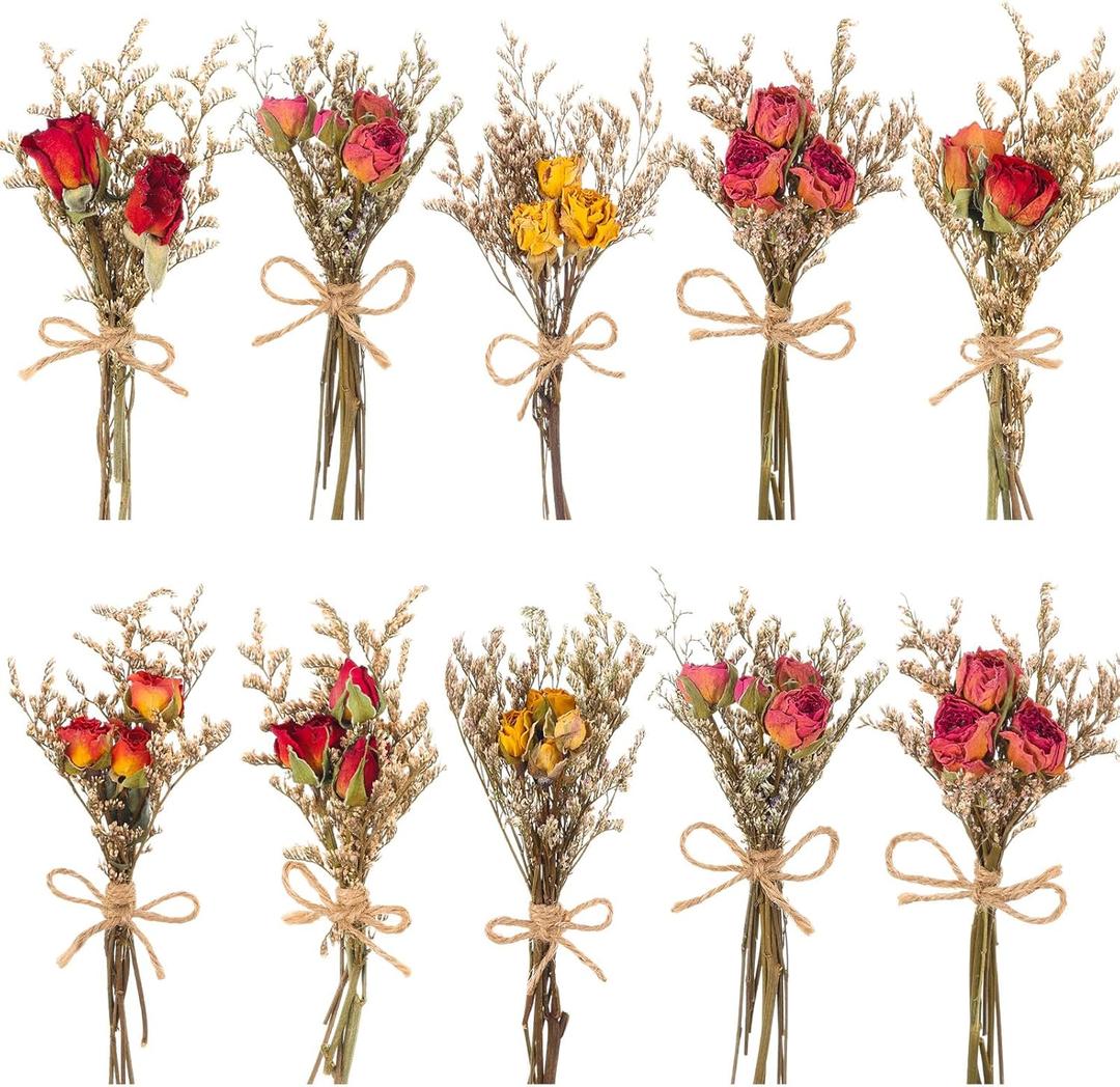 VAIPI 10 Pack Red Rose Dried Flower Bouquets Natural Real Dry Flowers with Stem Mini Roses Flower Bundles Dried Floral Arrangement for Vase, Carfts, Wedding, Valentines Day, Anniversary, Home Decor