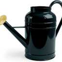 Galvanized Iron Watering Can for Indoor Plants, Bowl Watering Cans for House Plant Garden Flower, Long Spout Water Can for Outdoor Watering Plants 8.71L 2.3 Gallon Gold