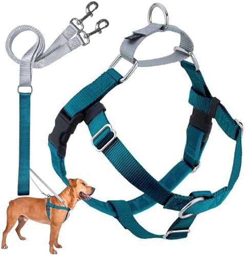 2 Hounds Design Freedom No Pull Dog Harness, Adjustable Harness and Leash Set, Easy Walking & Comfortable Control, Fits Small, Medium & Large Dogs, Solid Colors, Made in USA, 5/8" SM, Teal