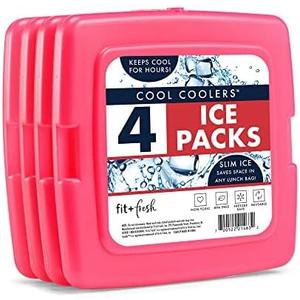 Fit & Fresh Westerly Insulated Adult Lunch Bag Aqua and Cool Coolers 4 Pack Slim Ice Packs Pink, Complete Lunch Kit Includes Matching Tumbler & 2 Reusable Food Containers