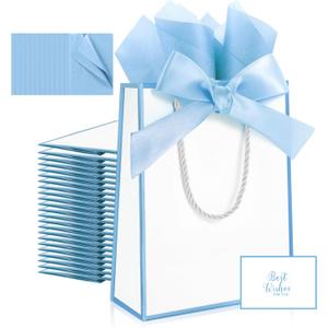 Ethhqu 12 Pack Small Gift Bags with Handles Include Tissue Papers & Cards, 9x7x3.15'' Thank You Gift Bags for Birthday, Baby Shower, Wedding, Bridesmaids, Anniversary, Mothers Day (White and Blue)