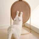 MS!MAKE SURE Cat Scratching Post, Three Modes Cat Scratcher, Cat Scratch Furniture Protector, Vertical/Horizontal/Side Table, Replaceable Sisal Scratch Pad for Indoor Cats - Yellow