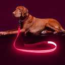 Colaseeme Light Up Dog Leash, LED Pet Leashes USB Rechargeable, Glow Safety Dogs Lights at Night (4FT,Pink)