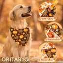 2 x Thanksgiving Dog Bandanas for All Dogs (Turkey Pumpkin Fall Maple Leaves) (2-Pack Triangle Reversible Pet Scarves) Premium Fabric Holidays Bandana, Large V