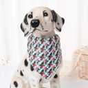 2 x Mile High Life | Girl Dog Collars | Cute Bandana Collar | Soft Poly Cotton Fabric Collars for Medium Dogs | Flower & Fruit Pattern (Wild Rose, Collar & Bandana-M)