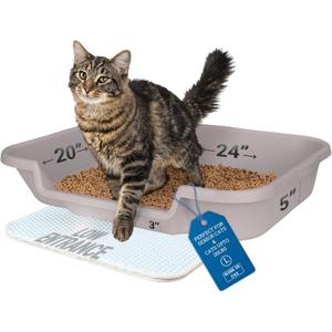 KittyGoHere Senior Cat Litter Box 1 Pack, Large Misty Gray Low Entrance Kitty Litter Box, Sized for Cats Comfort, Perfect for Senior and Arthritic Cats, Made in USA