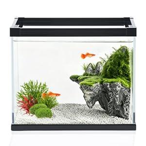 Ultra Clear Glass Aquarium Thickened Large Fish Tank -Suitable for High-end Fish Enthusiasts (5.5 Gallon, Tank)