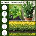 10 Pack Plant Support Stakes, 10" x 24" Peony Cages and Supports | Metal Rustproof Half Round Garden Plant Stakes for Indoor Outdoor Plants, Hydrangea, Rose, Monstera