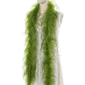 Soarer Green Ostrich Feather Boa - 2Yards 1Ply Long Boas for Party,Home Decor,DIY Craft Sewing(Lime Green)