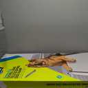 PetSafe Happy Ride Compact Telescoping Dog Ramp - Portable Pet Ramp for Cars, Trucks & SUVs with Adjustable Sizing - Non-Slip Design - Lightweight Pet Mobility Assistance - Extra Long