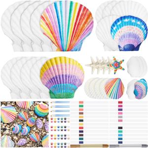 JolliLudo 60 Pcs 30 Set Natural Scallop Shells Craft Kit 4 Style 2''-4'' White Seashells Bulk with Brush Marker Pen for Home Decor Ornaments DIY Arts Crafts Seashells Ocean Summer Beach Home Decor