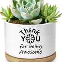 Thank You Gifts for Women, Succulent Planter, Flower Cactus Plant Pot, Employee Appreciation Gifts for Coworkers Nurse Friends Women, Thank You for Being Awesome (No Plants)
