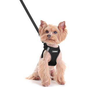 rabbitgoo Dog Harness Small Sized and Leash Set, Step in Soft Light Puppy Vest, Breathable Mesh Pet Harness, Reflective for Safe Easy Walking, Black XXS