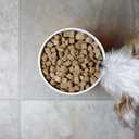 Ketogenic Pet Foods - Chicken - High Protein, High Fat, Low Carb, Natural Dog & Cat Food - 18.5 oz. Canister