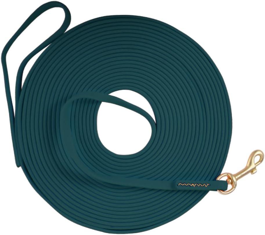 Long Leash Waterproof Dog Training Leash, Outdoor Longline Dog Leash for Training, Yard, Play, Beach, Camping