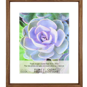 DI ML 16×20 FLOAT STONEWSH WALNUT FRAME