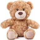 BenBen Brown Teddy Bear Stuffed Animal, 12 inch Cute Shaggy Stuffed Bear Plush Toy, Baby Shower Decoration, Easter Birthday Gift for Kids Girls Boys