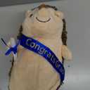 Hollowfly 2026 Graduation Gifts Plush Hedgehog 11.8 in Stuffed Animal with Cap Diploma Congrats Grad Sash Cute Hedgehog Graduation Plushies Plush Toy Doll for Class of 2026 Students Boys Girls(Blue)