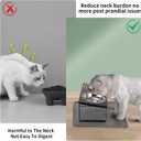 Upgraded Elevated Cat Bowls with Food Mat,15Tilted Stand Anti Vomiting Raised Cat Dishes for Food and Water,2 Stainless Steel Bowls for Cats and PuppyBlack
