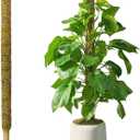 DUSPRO 59 Inches Non-Bendable Pole for Big Climbing Plants, Large Moss Pole for Monstera, Indoor Plant Stakes, Support (1pc., 59'')