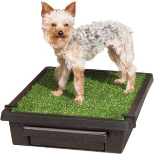 PetSafe Pet Loo Portable Dog Potty - Pet Toilet Alternative for Puppy Pads - Small - Perfect for House Training - Easy-to-Clean Grass Mat (Small (Pack of 1))