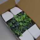 Der Rose 4 Pack Fake Plants Mini Artificial Greenery Potted Plants for Home Decor Indoor Office Table Room Farmhouse Bathroom Decor (Grey)