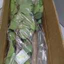 5Ft Artificial Birch Tree, Green Birch Tree for Indoor, Fake Potted Ficus Tree with Silk Leaves for Home Office Living Room Decor (7in)