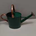 1 Gallon Metal Watering Can with Removable Spout, Nice Galvanized Steel Water Can with Embossed Design for Indoor and Outdoor Plants