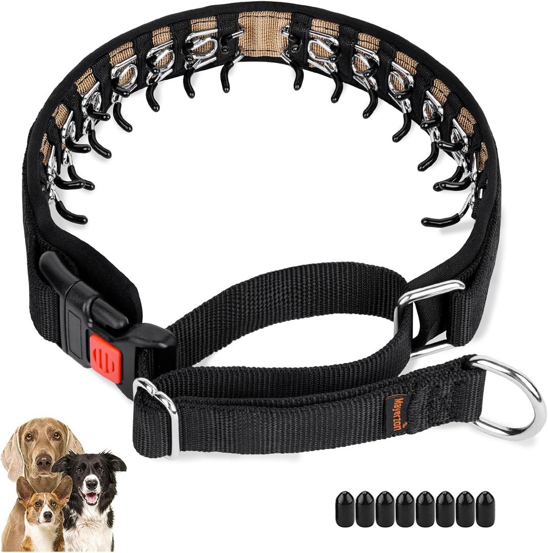 Mayerzon Dog Collar, Patented Martingale No Pull Collar for Small Dogs with Buckle for Walking Training, Hidden Design (Black, Small,2.5mm,11.5"-14.5" Neck)