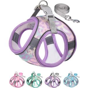 Dog Harness for Small Medium Dogs No Pull, Cat Harness and Leash Set, Step in Puppy Harness (Purple, XXS)