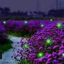 Solar Powered Firefly Lights, 9 LED Automated Pulsating String Chasing Firefly Lights Lantern Solar Outdoor Waterproof (2 Pack)