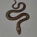 Blulu Gold Snake Wall Decor - Witchy Metal Wall Art Gothic Flat Snake Hanging for Altar Home Decor - Goth Wall Art for Apartment Bedroom Bathroom - 15.75 Inch